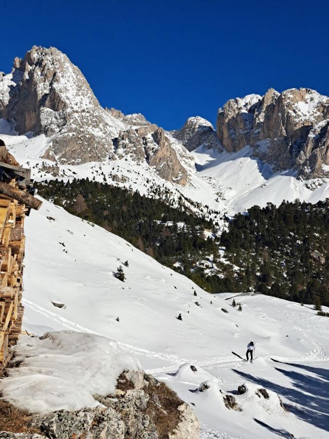 Santa Cristina Val Gardena Residence Casa Metz מראה חיצוני תמונה