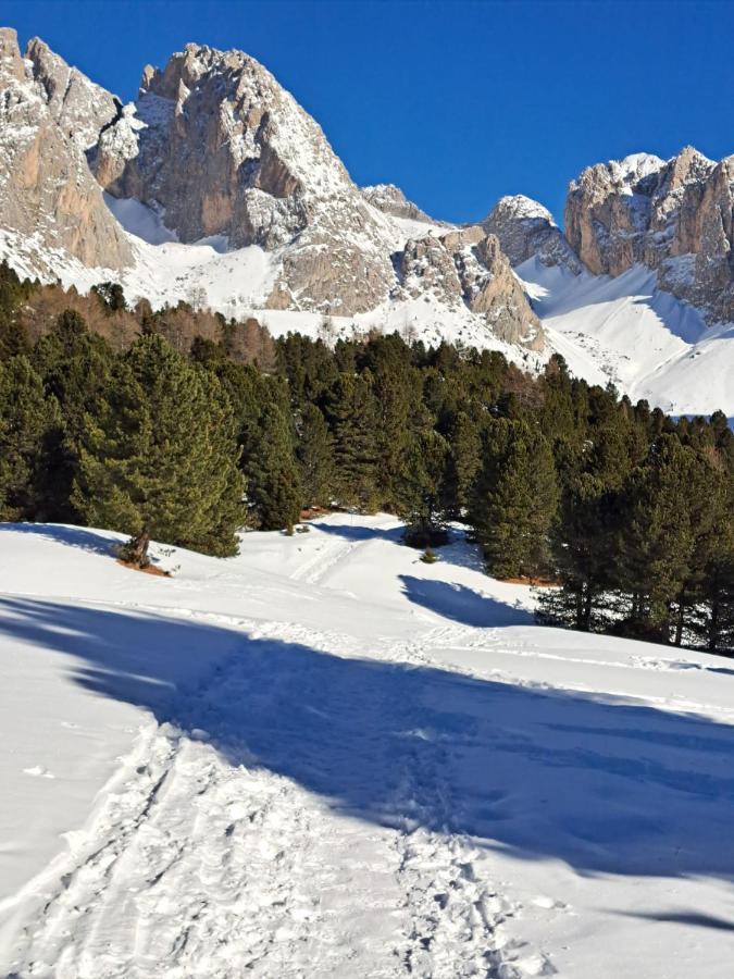 Santa Cristina Val Gardena Residence Casa Metz מראה חיצוני תמונה
