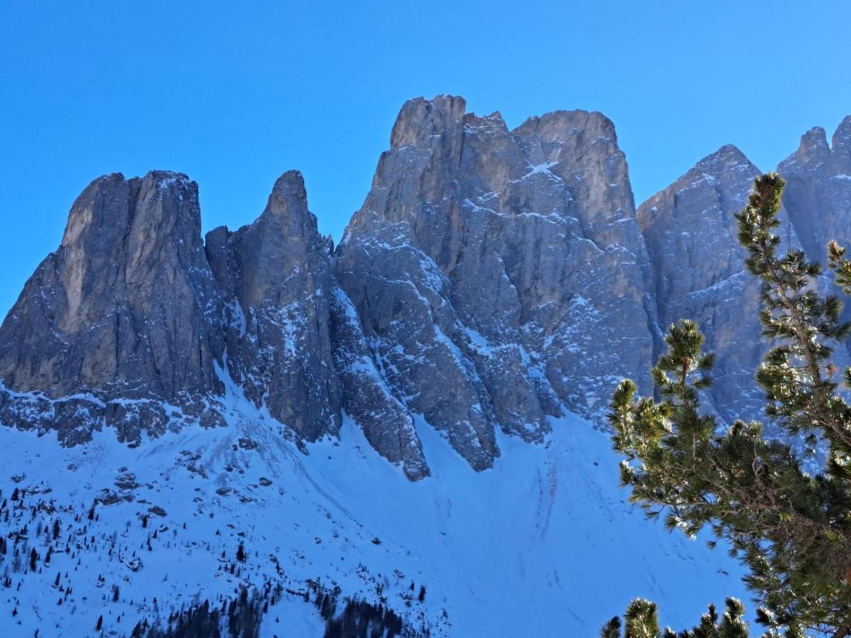 Santa Cristina Val Gardena Residence Casa Metz מראה חיצוני תמונה