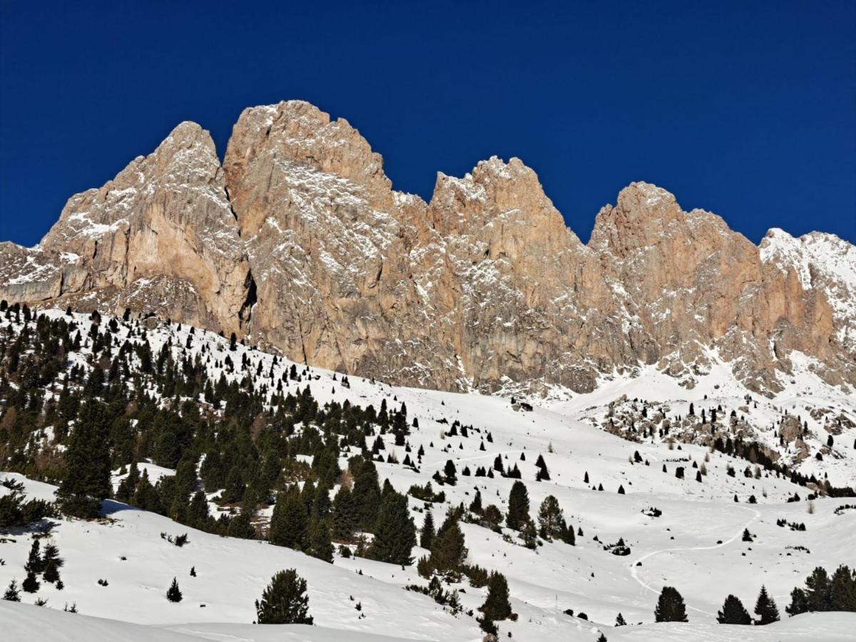 Santa Cristina Val Gardena Residence Casa Metz מראה חיצוני תמונה